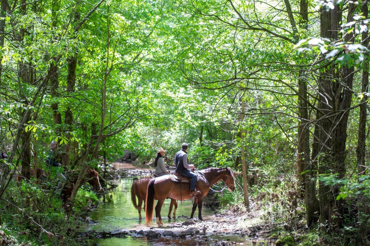 Barnsley Resort Adairsville Bagian luar foto