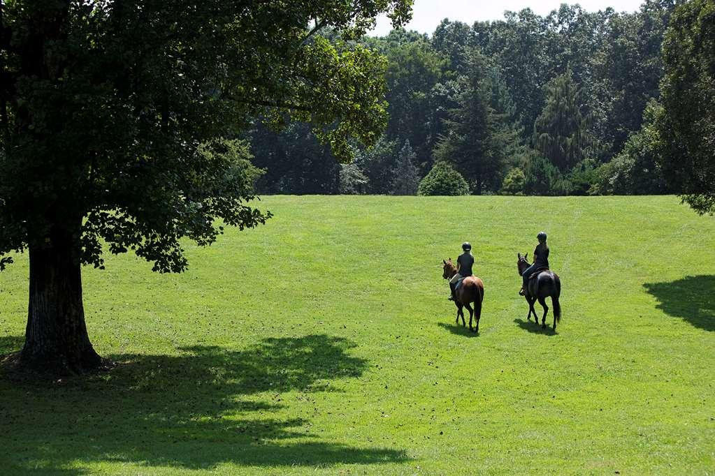 Barnsley Resort Adairsville Bagian luar foto